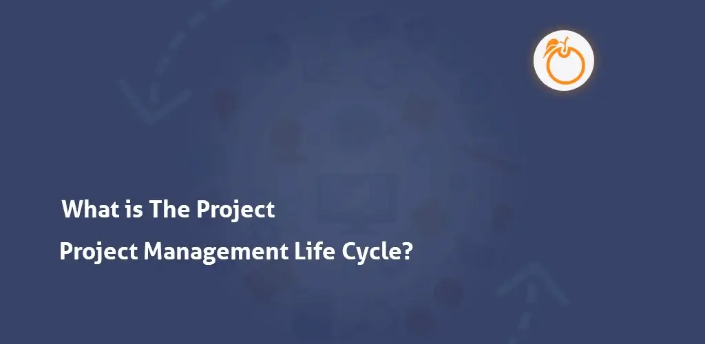What is the Project Management Life Cycle
