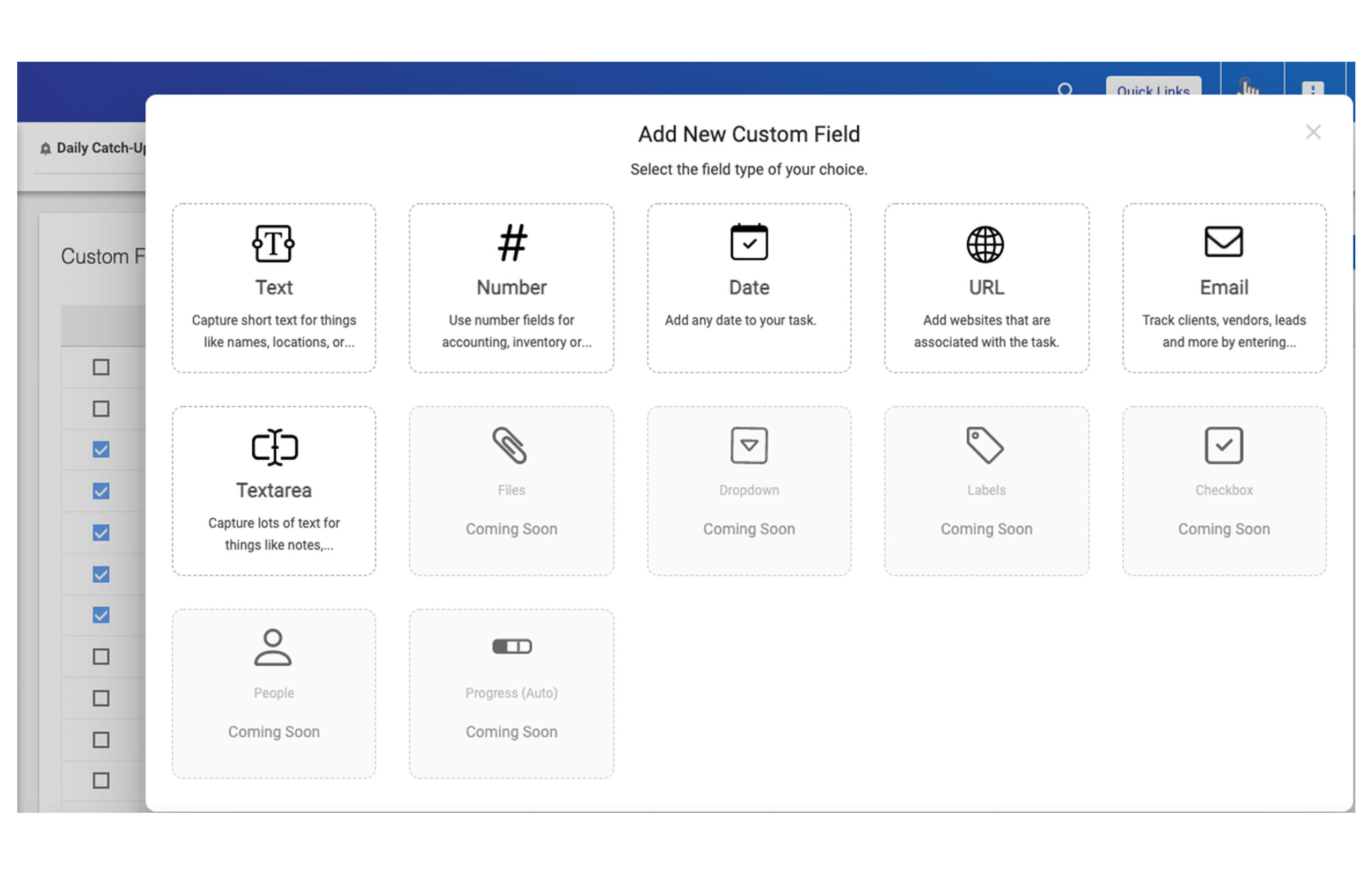 Put additional data in tasks using custom fields